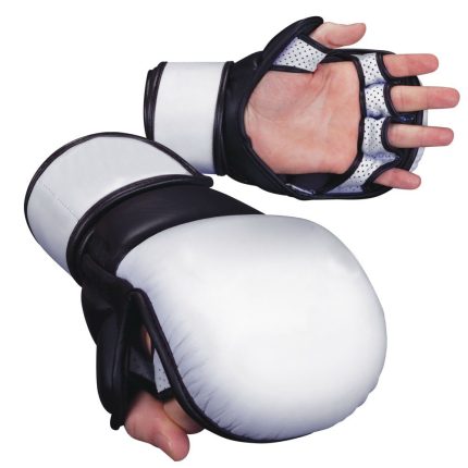 Sparring Gloves